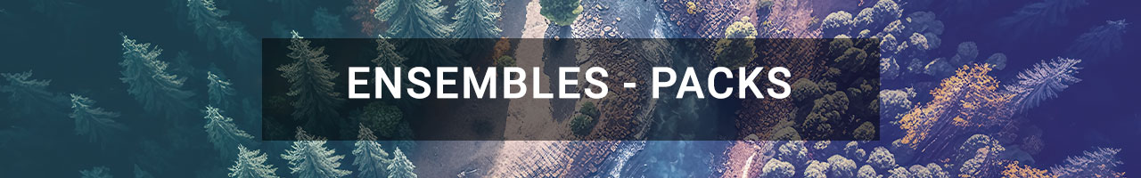 Ensembles & Packs