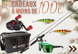 Cadeaux à moins de 100€