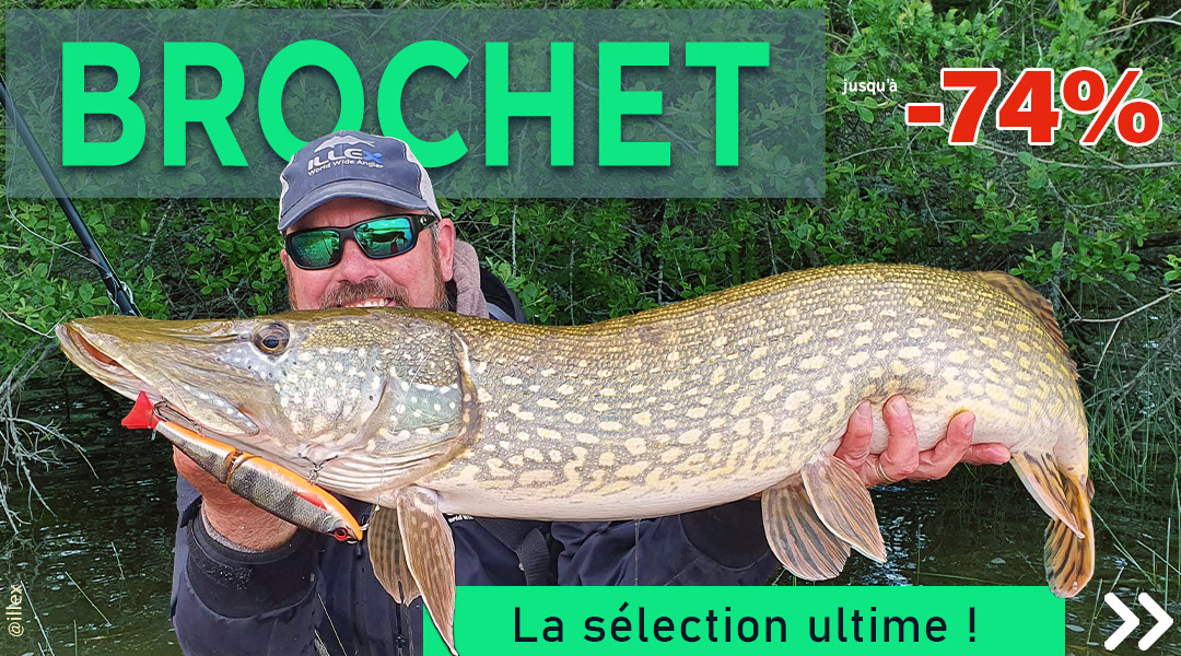 Brochet